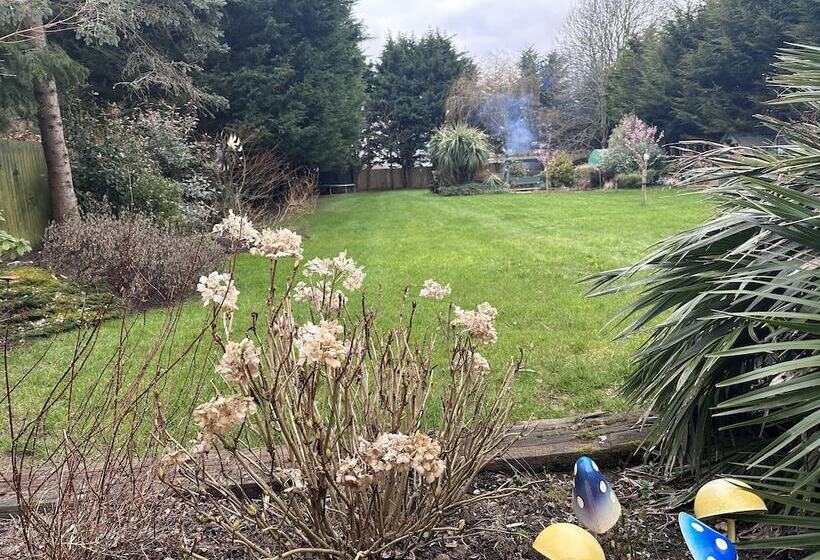 ベッドアンドブレックファースト Beechwood B And B