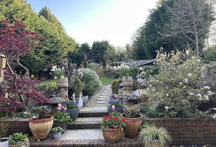 ベッドアンドブレックファースト Beechwood B And B