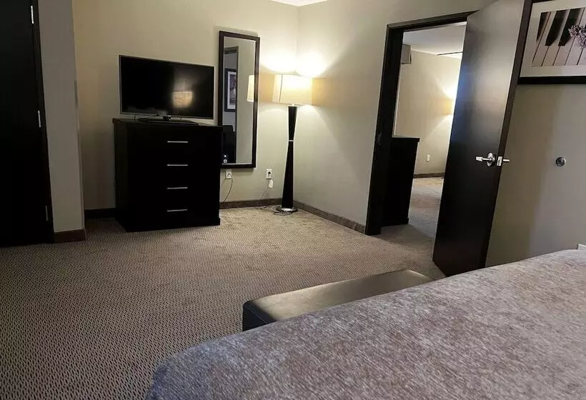 酒店 Baymont By Wyndham College Station