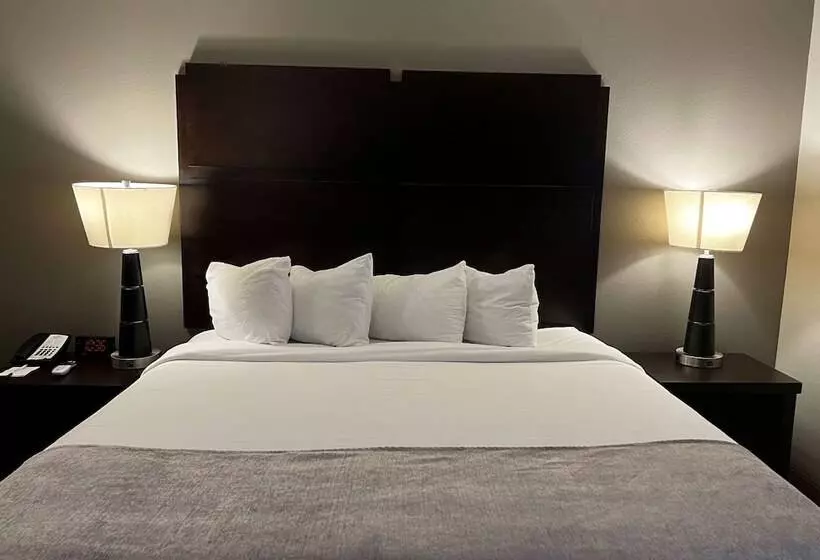 酒店 Baymont By Wyndham College Station