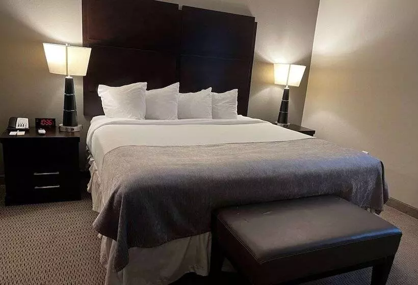 酒店 Baymont By Wyndham College Station