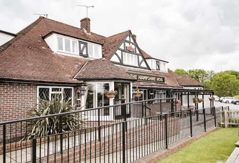 فندق The Hampshire Hog