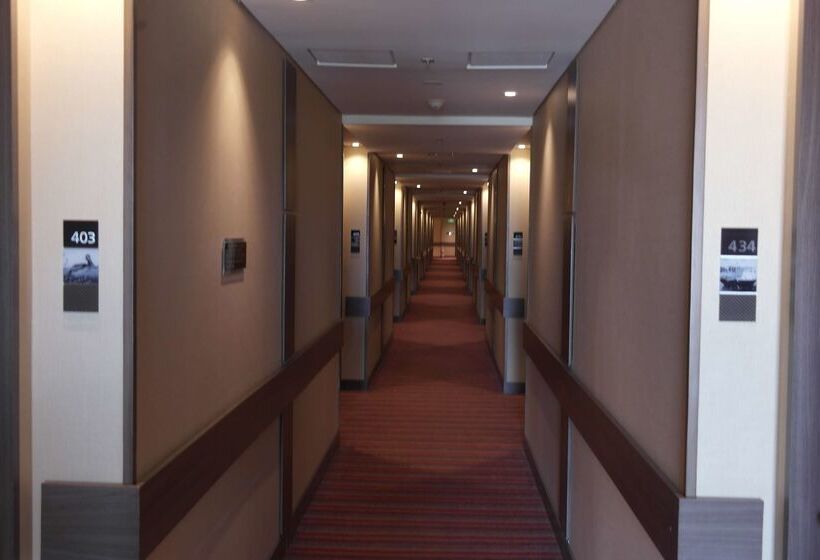 Hotel Hampton By Hilton Valledupar