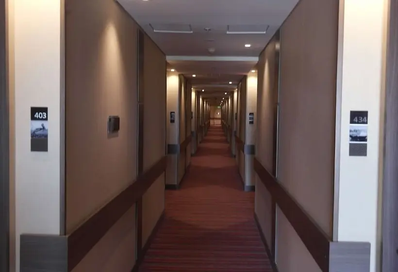 ホテル Hampton By Hilton Valledupar