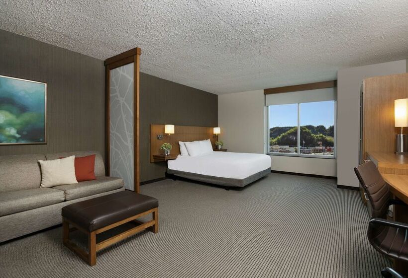 هتل Hyatt Place Manati