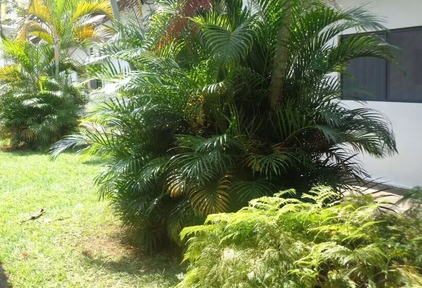 호텔 Rio Claro Plaza