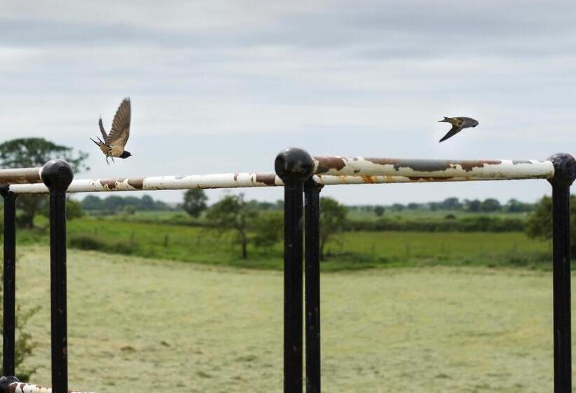 فندق ريفى The Mill At Conder Green