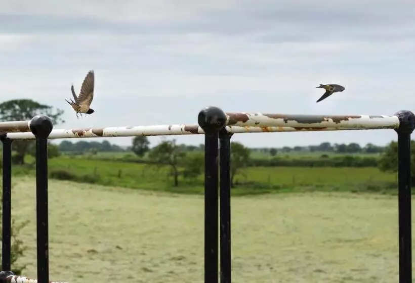 乡村酒店  The Mill At Conder Green