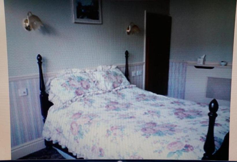 فندق The Captain Guesthouse