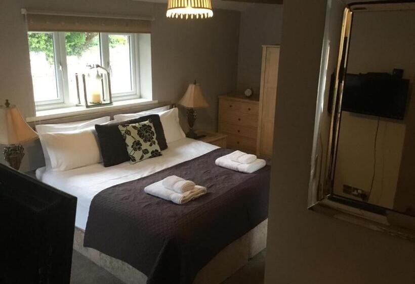 Hotel The Curious Fox