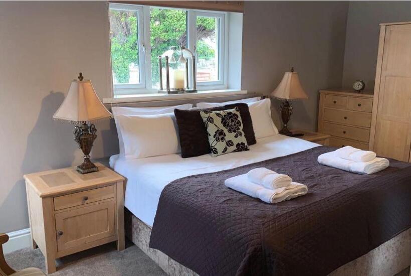 Hotel The Curious Fox