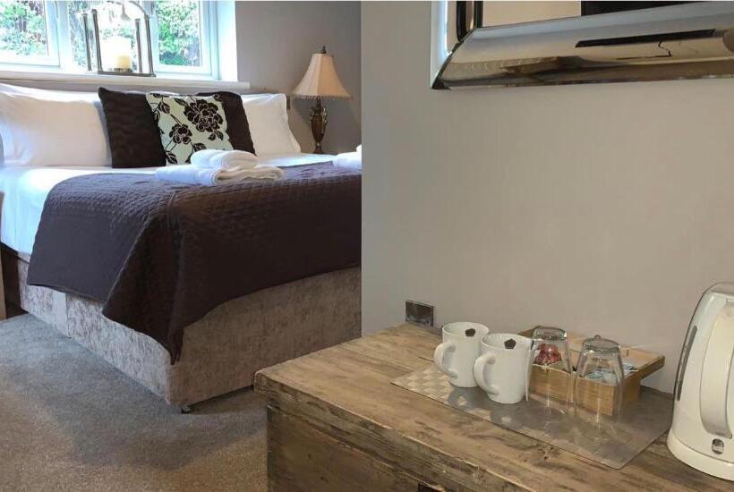 Hotel The Curious Fox