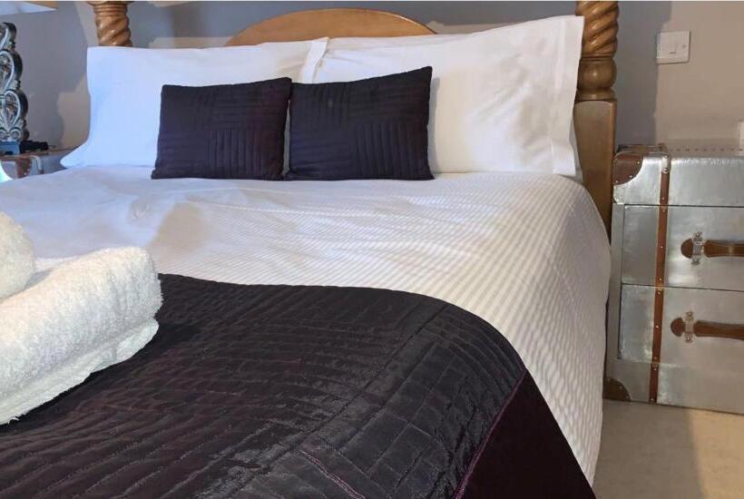 Hotel The Curious Fox