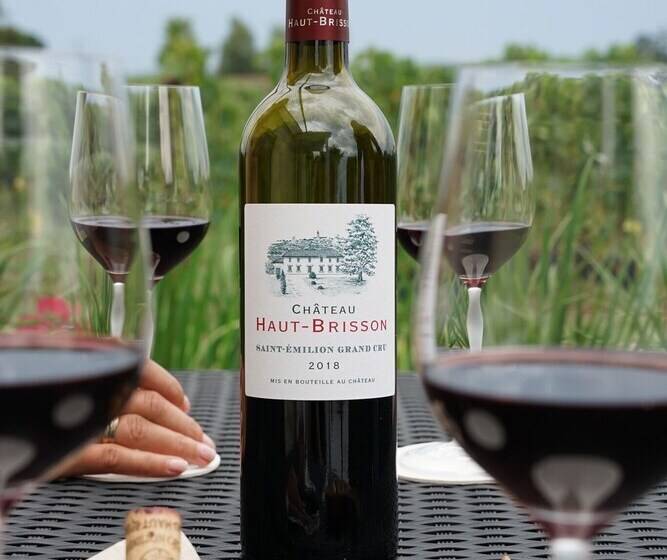 住宿加早餐 Château Haut Brisson