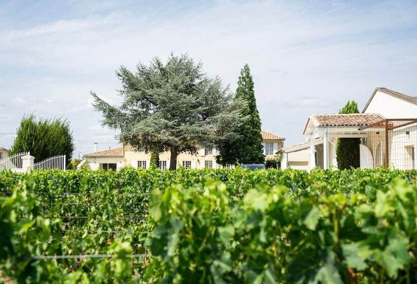 住宿加早餐 Château Haut Brisson