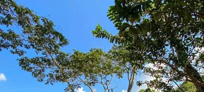 Hotelli Hostería El Sendero Cocorná