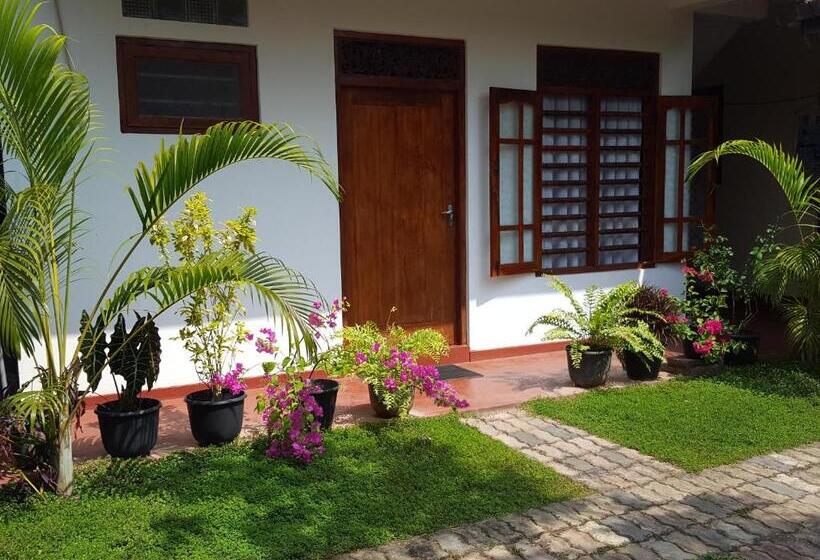 پانسیون Green Mountain Rest Mirissa