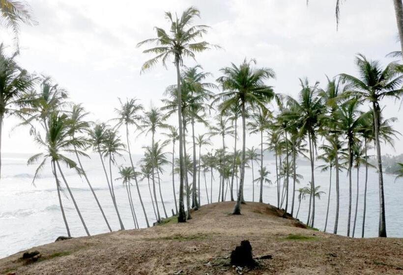 پانسیون Green Mountain Rest Mirissa