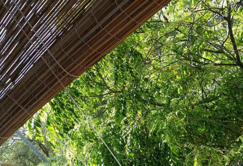 پانسیون Green Mountain Rest Mirissa