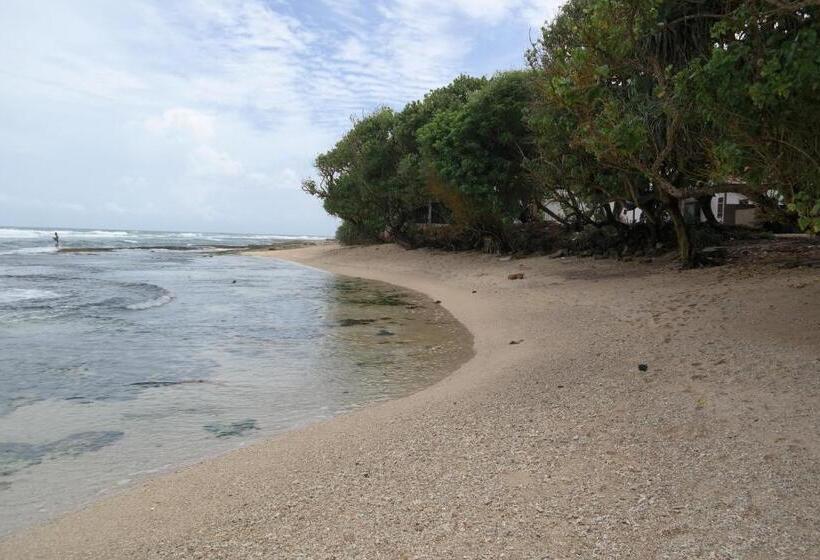 پانسیون Green Mountain Rest Mirissa