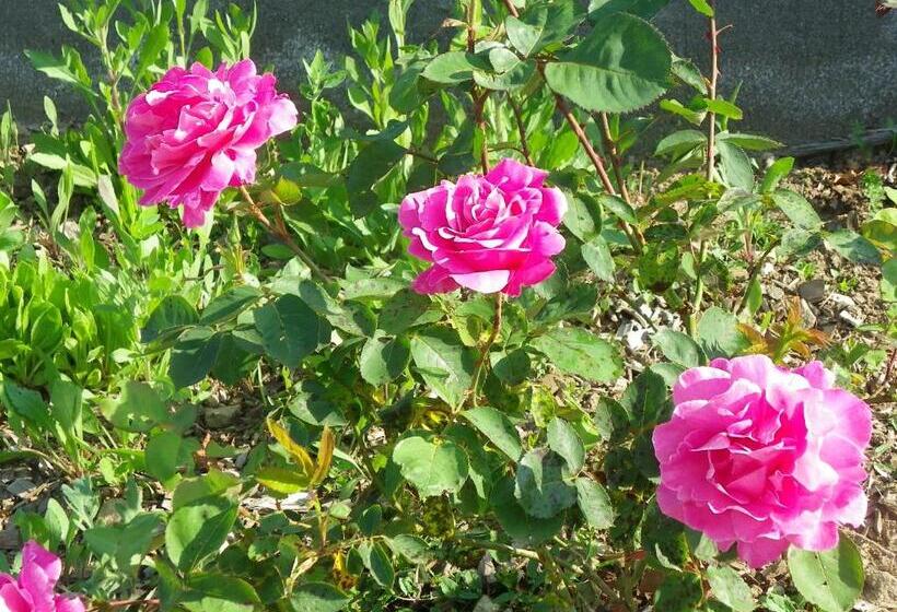 Bed and Breakfast Le Donjon De La Reine Margot