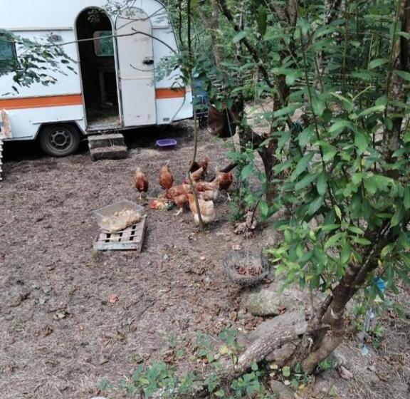 Bed and Breakfast Les Roches Restaurant & Chambre D Hotes