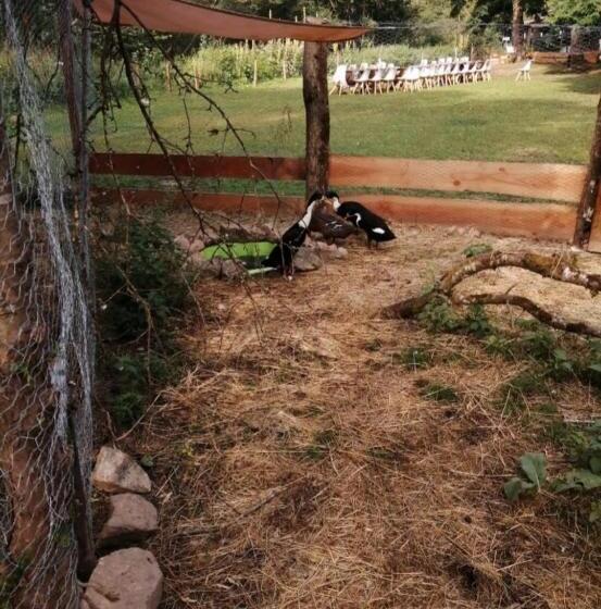 Bed and Breakfast Les Roches Restaurant & Chambre D Hotes