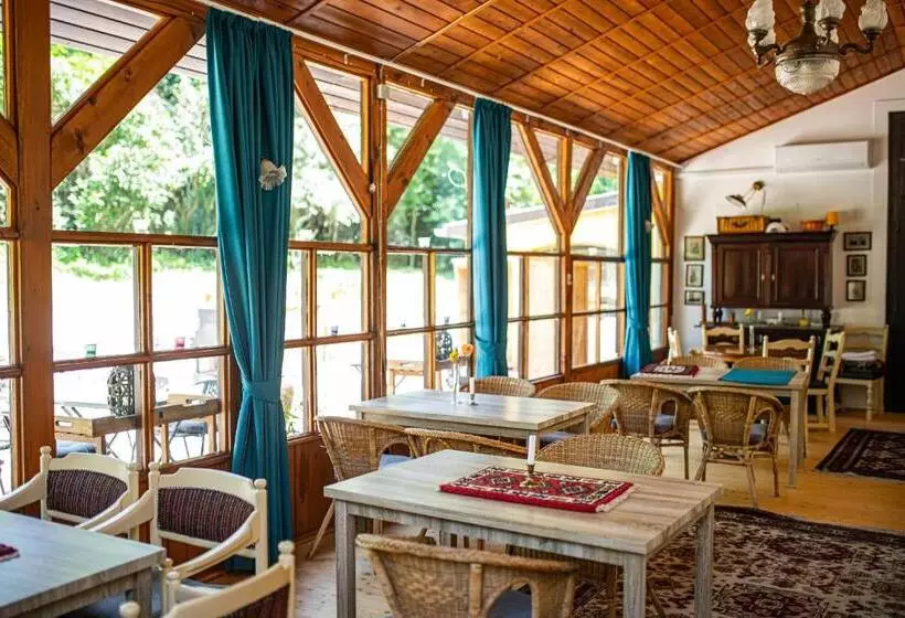 ベッドアンドブレックファースト Tusculanum Panzió