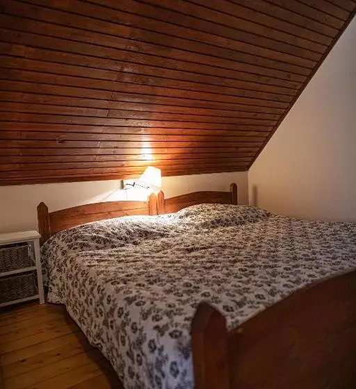 ベッドアンドブレックファースト Tusculanum Panzió