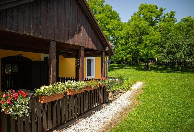 Bed and Breakfast Tusculanum Panzió