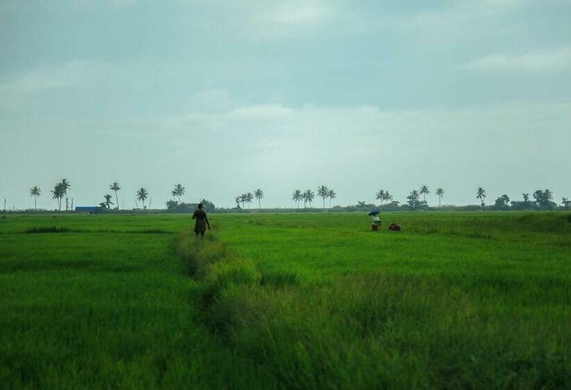 Palmgrove Lake Resort