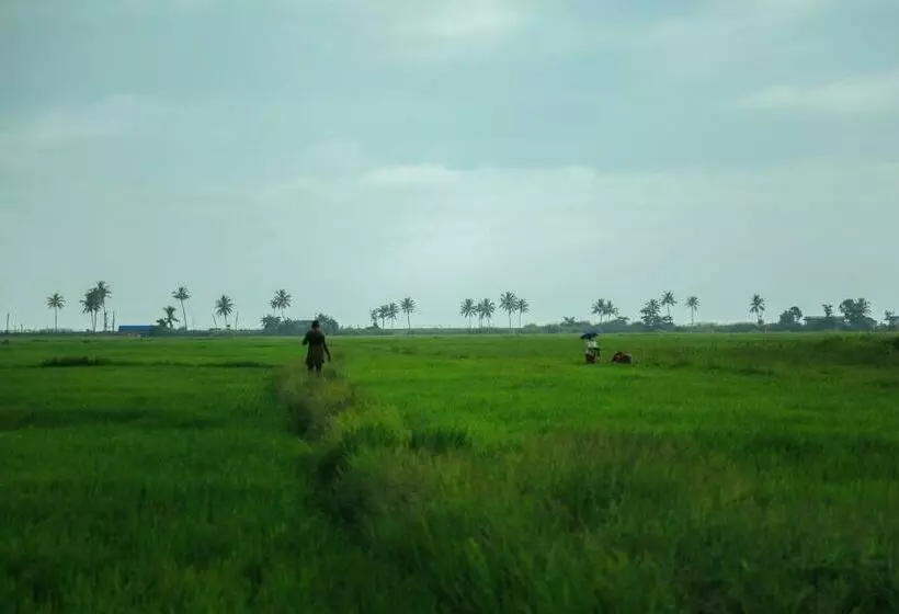 Palmgrove Lake Resort