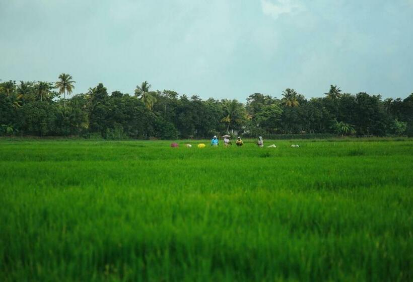 Palmgrove Lake Resort