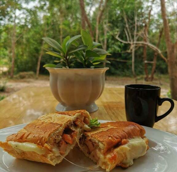 פנסיון Mark S Place