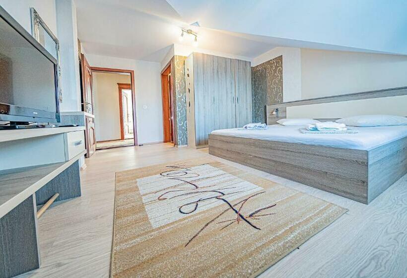 Pension Onix Vienna Airport