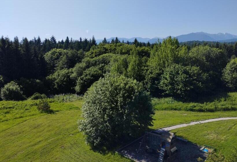 渡假胜地 Chamkoria Chalets