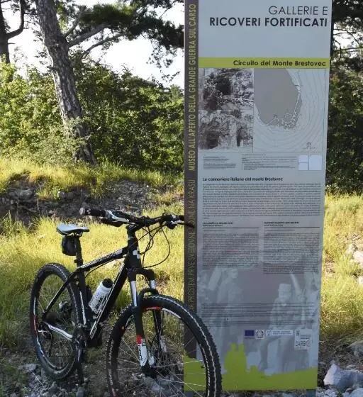 ベッドアンドブレックファースト Al Vecchio Glicine