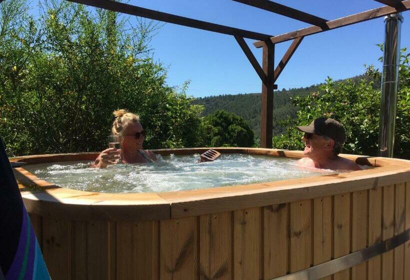 Bed and Breakfast Casa Traca