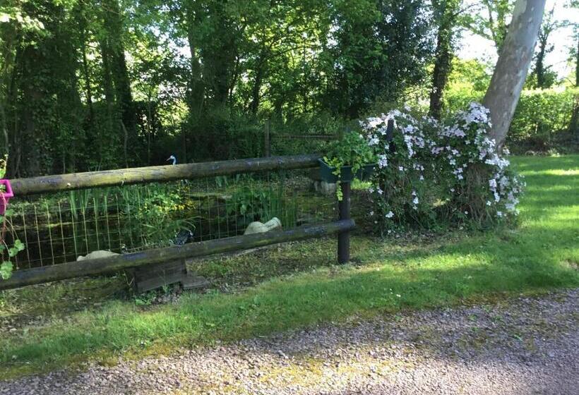 צימר Chambre Melody