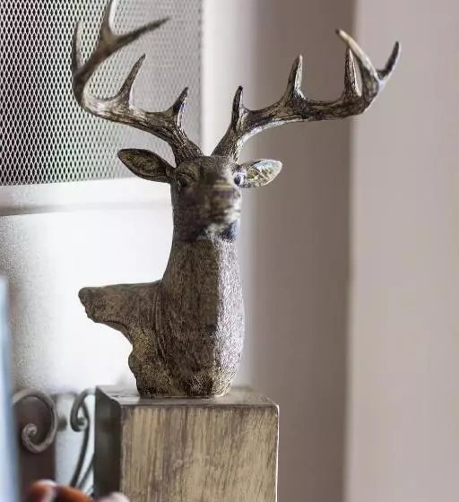 Aamiaismajoitus (B&B) Chambres D Hotes Nuits Campagnardes