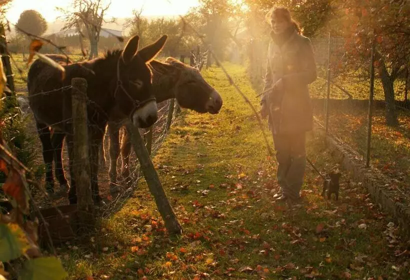 ベッドアンドブレックファースト Chambres D Hôtes Au Presbytère