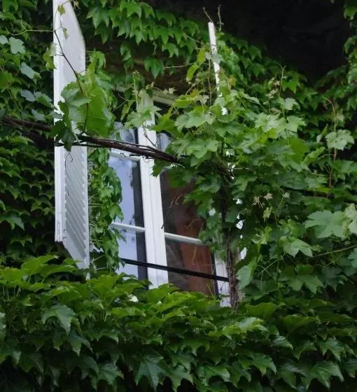 ベッドアンドブレックファースト Chambres D Hôtes Au Presbytère