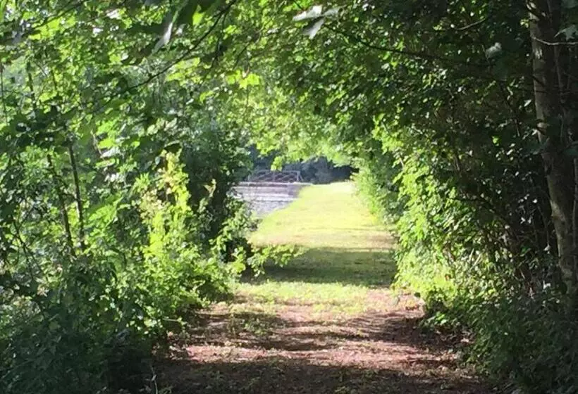 ベッドアンドブレックファースト Château De Vitry La Ville