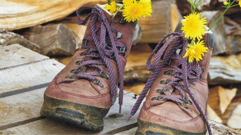 住宿加早餐  Gästehaus Burgblick