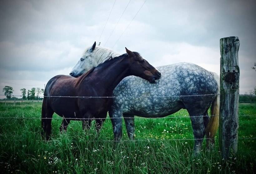 Nocleg ze śniadaniem Le Domaine De Cordey