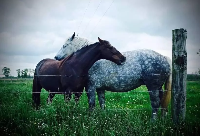 ベッドアンドブレックファースト Le Domaine De Cordey