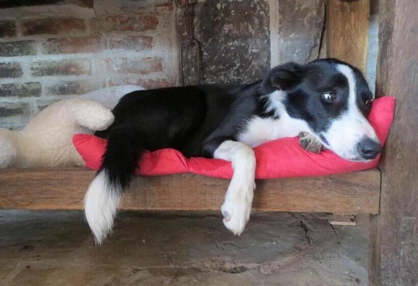 住宿加早餐  Les Grandes Fontaines