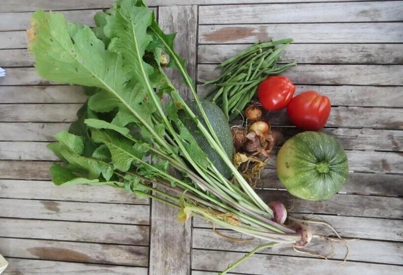 住宿加早餐  Les Grandes Fontaines