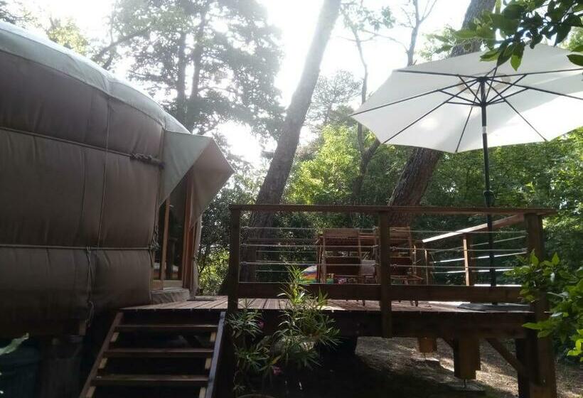 ベッドアンドブレックファースト Mareillagues