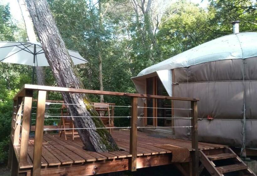 ベッドアンドブレックファースト Mareillagues